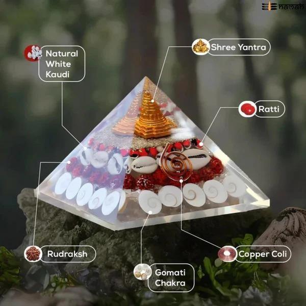 3029